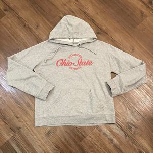 Ohio State Buckeyes Hoodie Mens Large Gray Sweatshirt Sweater Lightweight